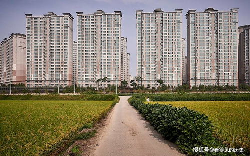 從“莊稼”到城市 韓國漢城房地產開發的狂飆與反思